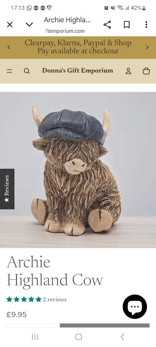 Dorris The Highland Cow With Rollers