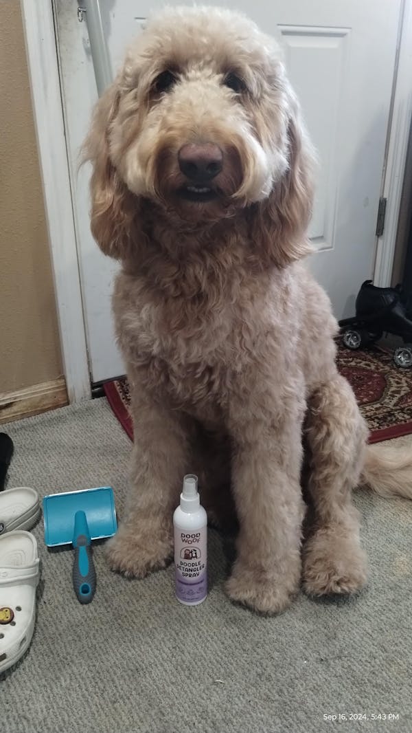 Doodle Detangler Spray