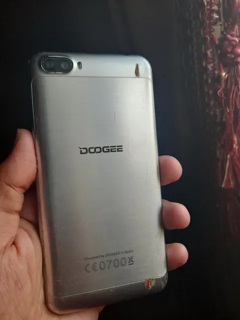 it.doogee.com