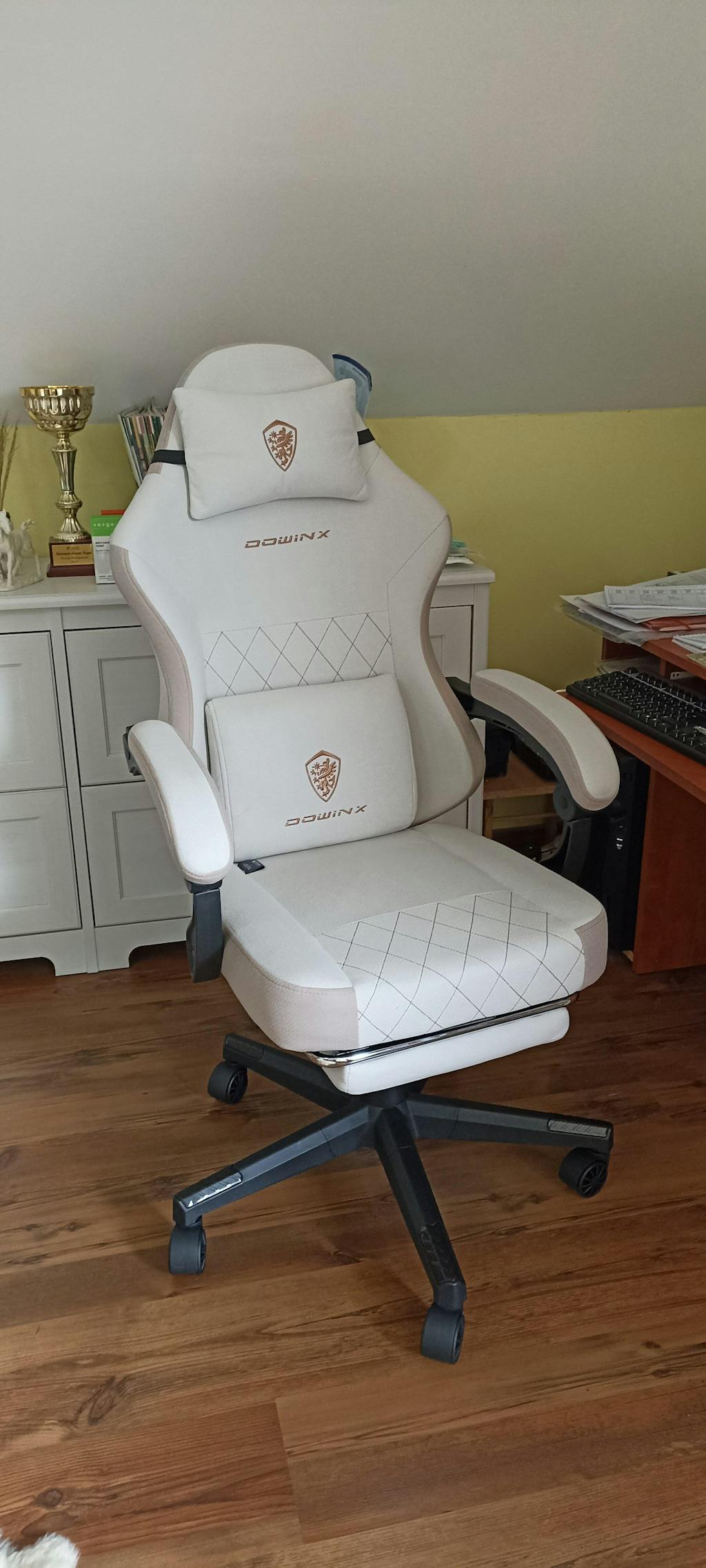 Dowinx Classic Series LS-6650F Beige