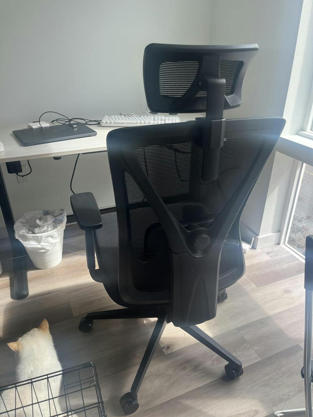 Dowinx Ergonomic Office Chair QL-66W4A Black