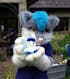 ITH Quaxly Pokemon Plushie Pattern