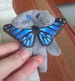 MAGNETIC | Monarch Butterfly Micro Dragon Plushie