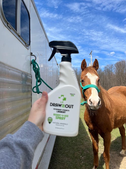 Draw It Out® RTU Spray – 24oz Ready to Use Liniment