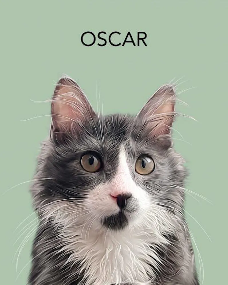 Custom Pet Portrait From Photo