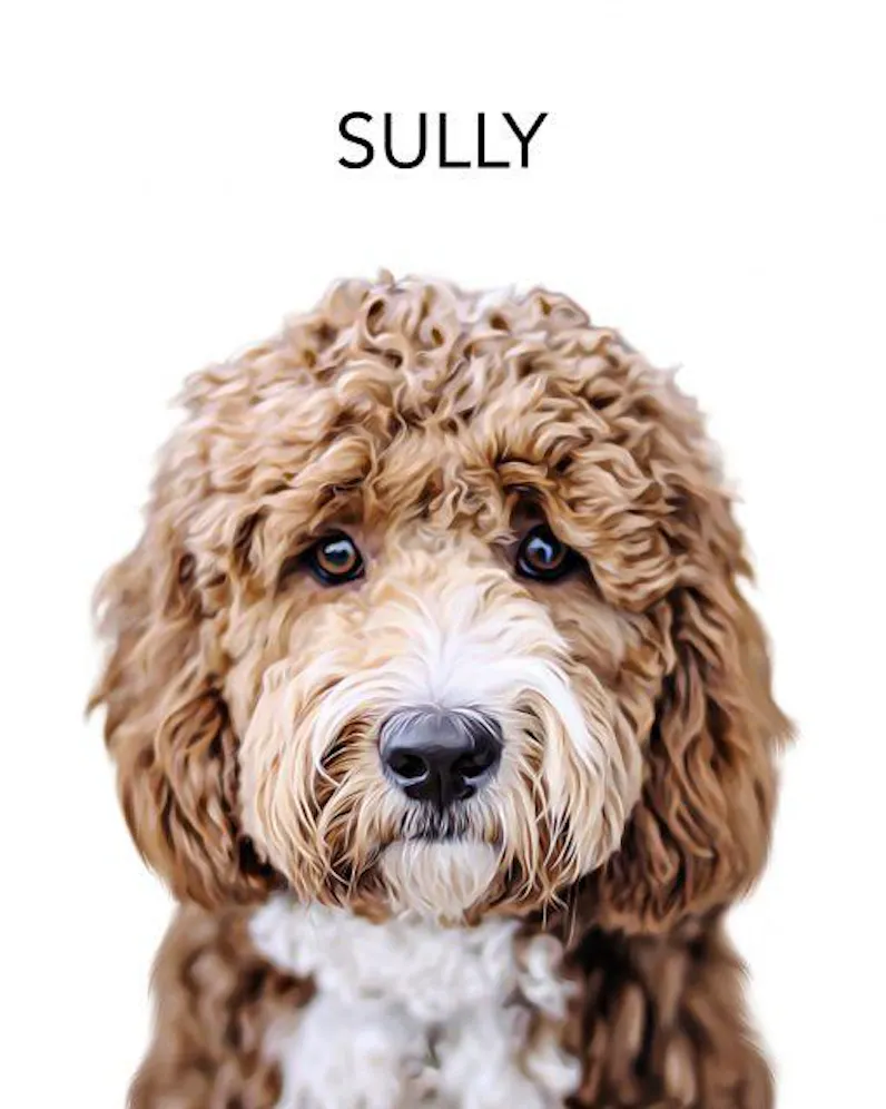 Custom Pet Portrait From Photo