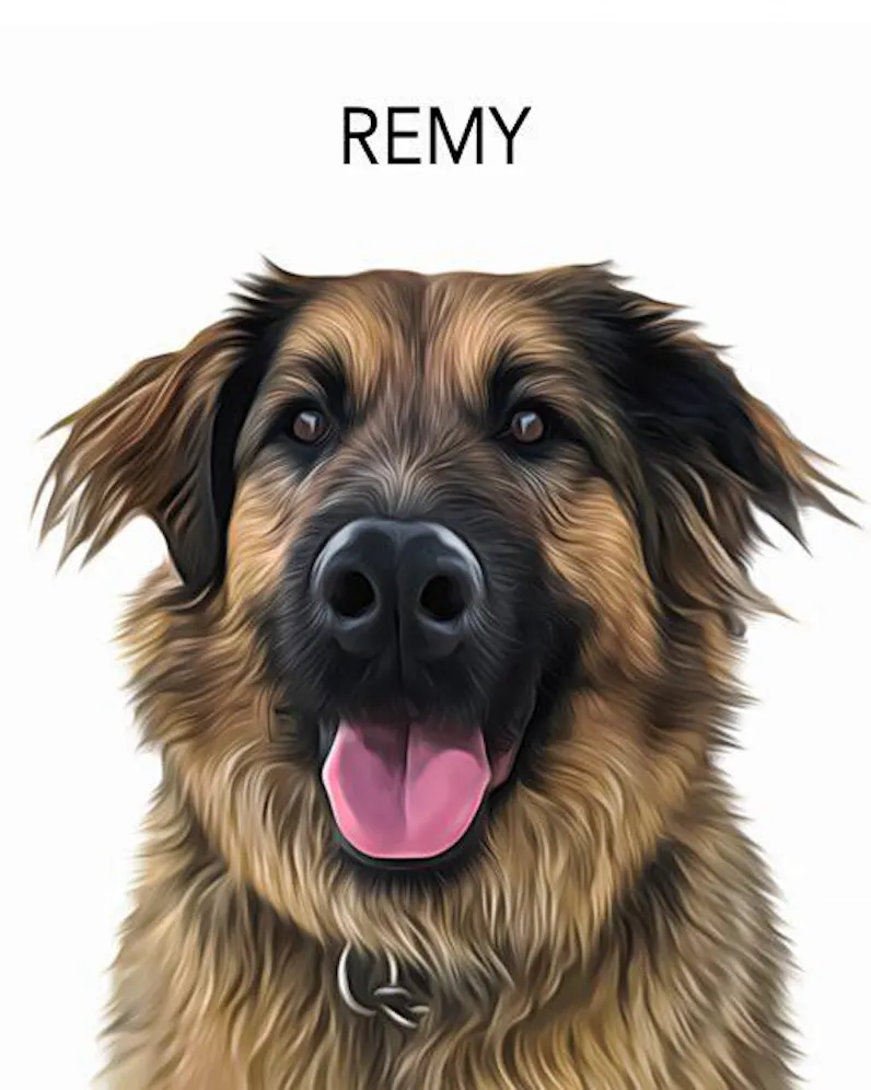 Custom Pet Portrait From Photo