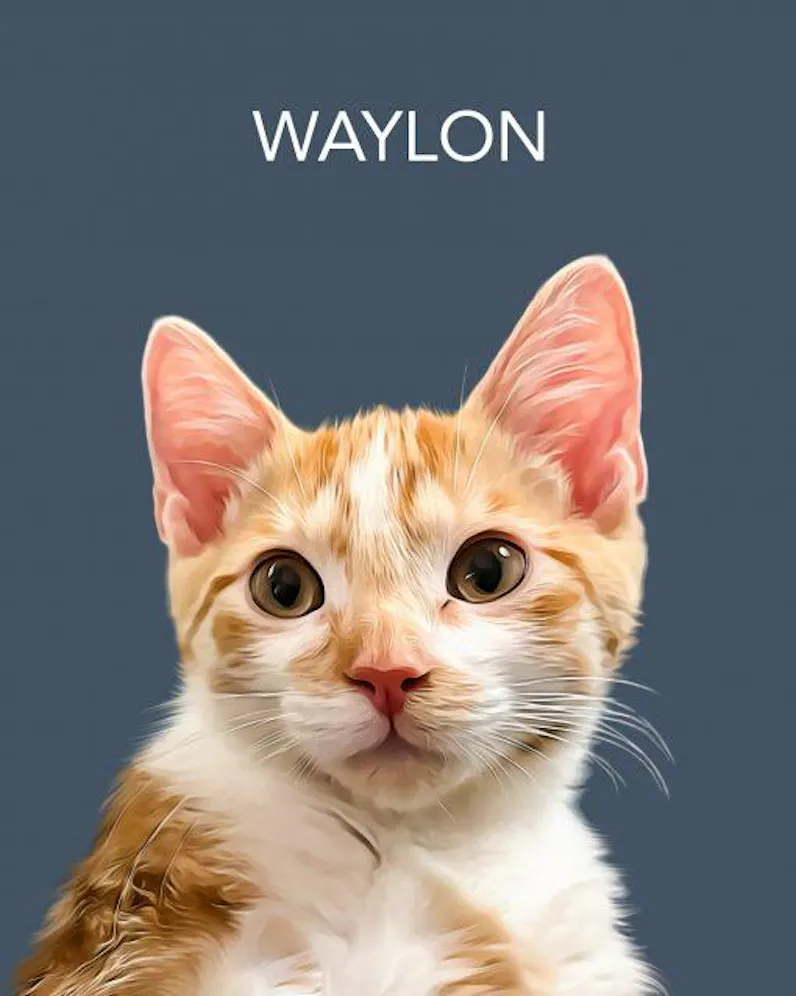 Custom Pet Portrait From Photo
