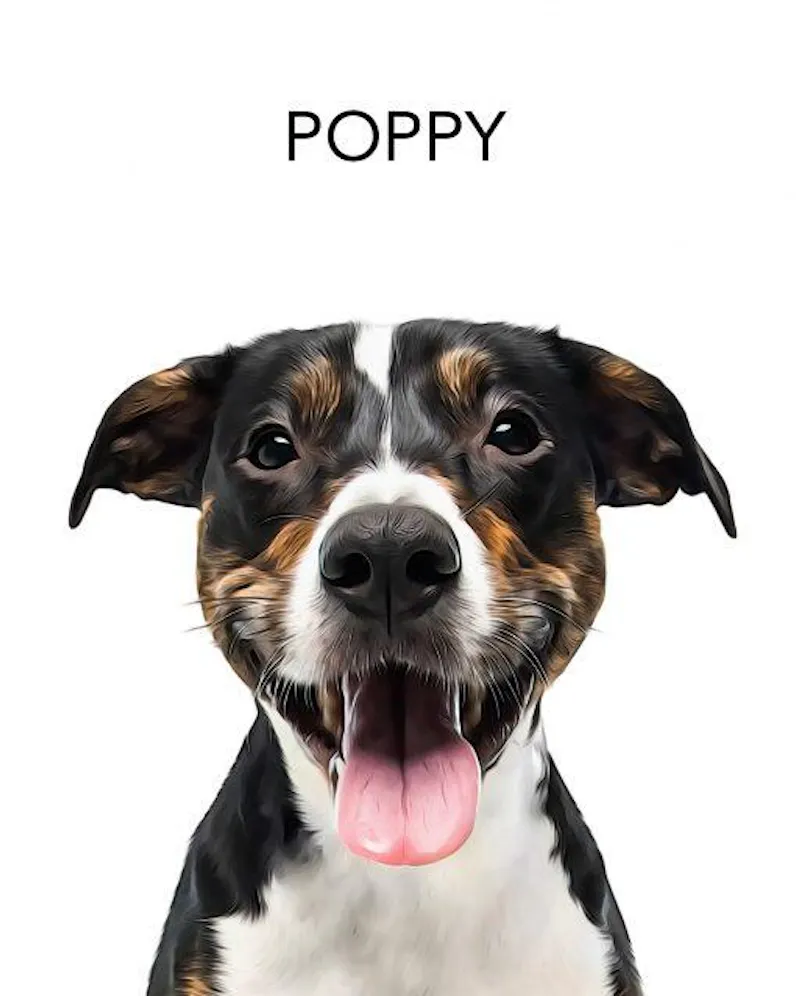 Custom Pet Portrait From Photo