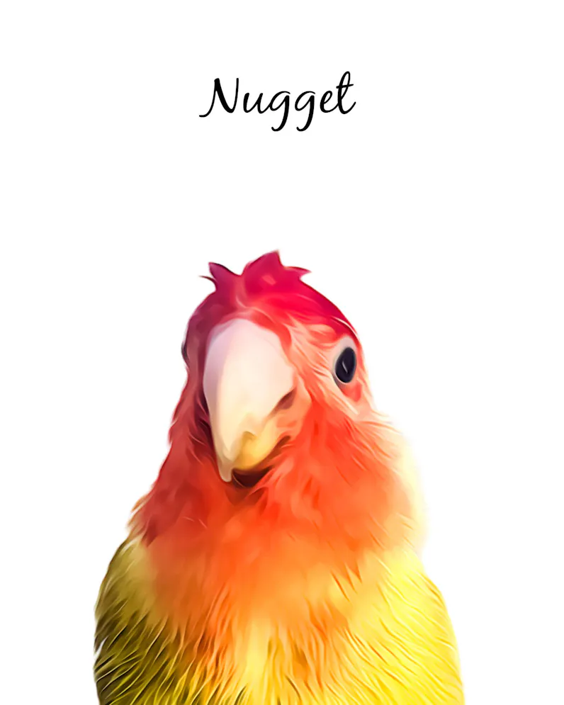 Custom Pet Portrait From Photo