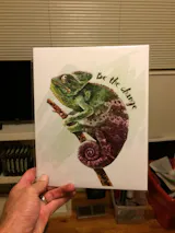 User picture