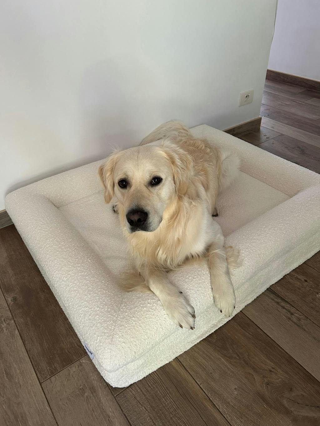 Hondenkussen Orthopedisch - Bouclé Wit