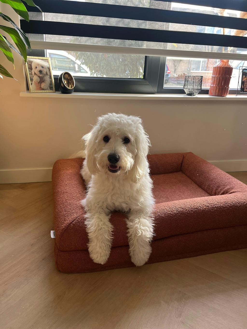 Hondenkussen Orthopedisch - Bouclé Choco Bruin