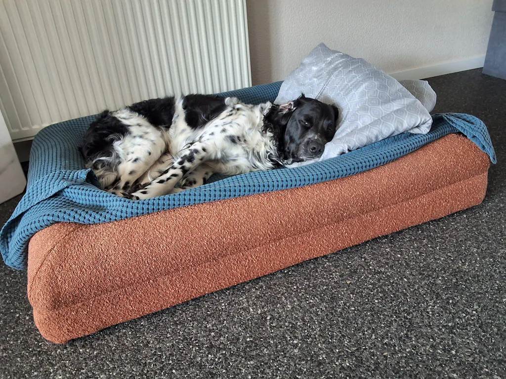 Hondenkussen Orthopedisch - Bouclé Wit