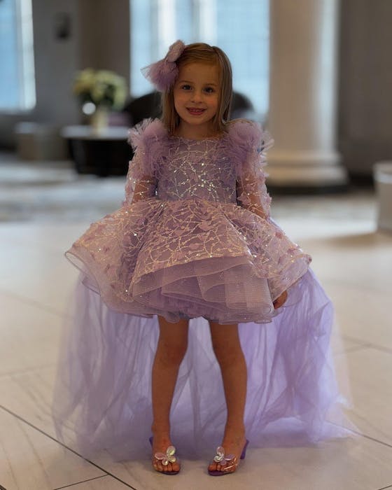 Sequins Lilac Long Sleeve Girl Dress Knee Length J287