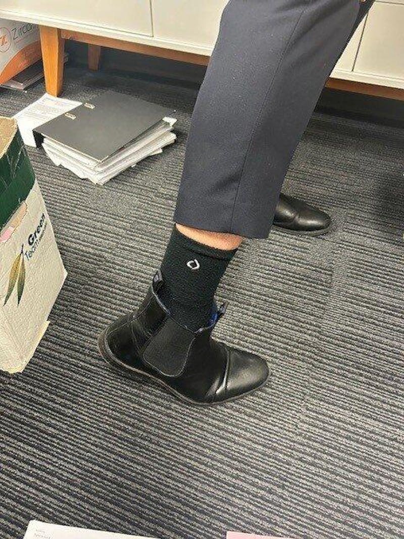 All-Day Performance Cushioned Crew Sock - Stone Grey