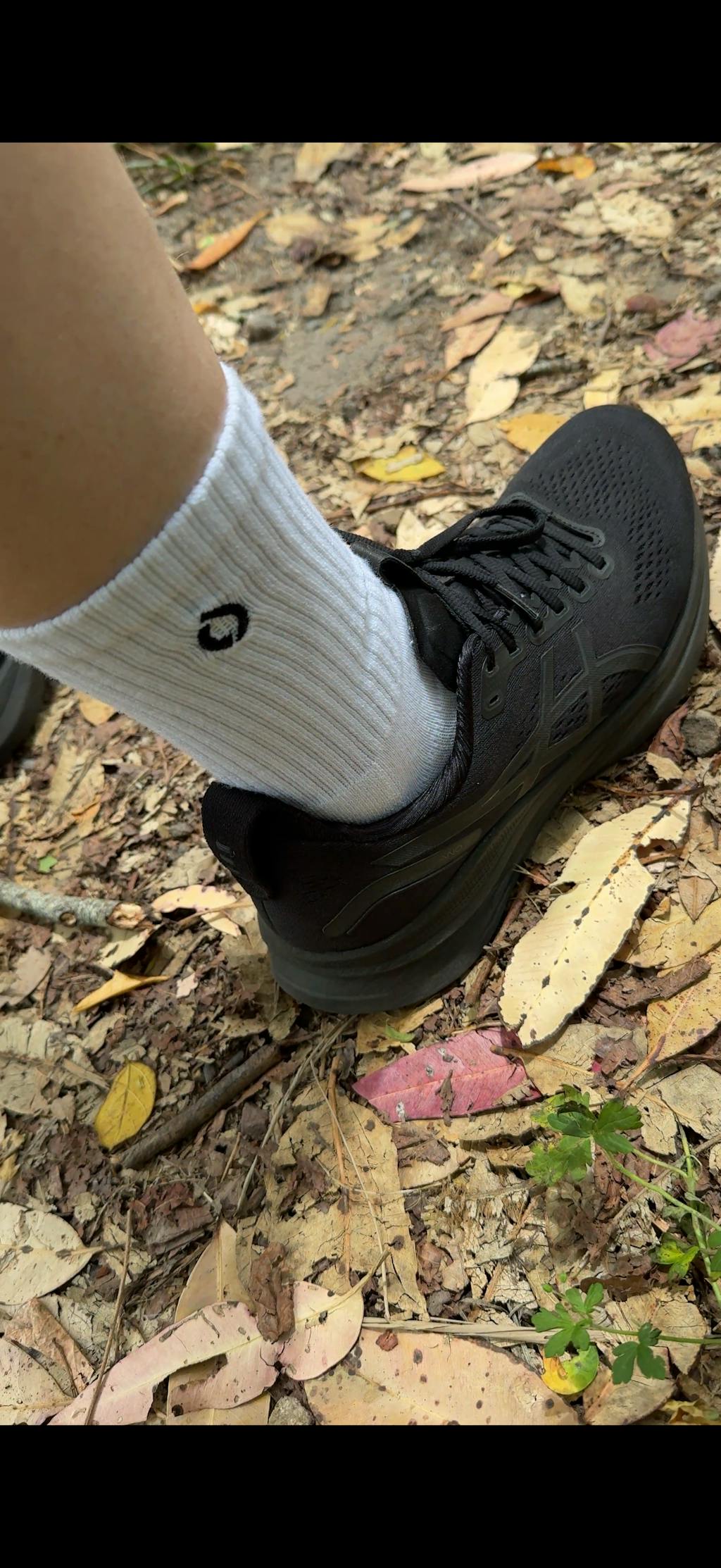 All-Round Daily Performance Crew Sock - Light Mocha