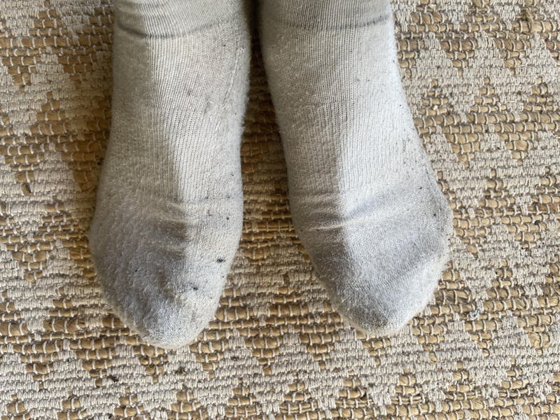 All-Round Daily Performance Crew Sock - Stone Grey