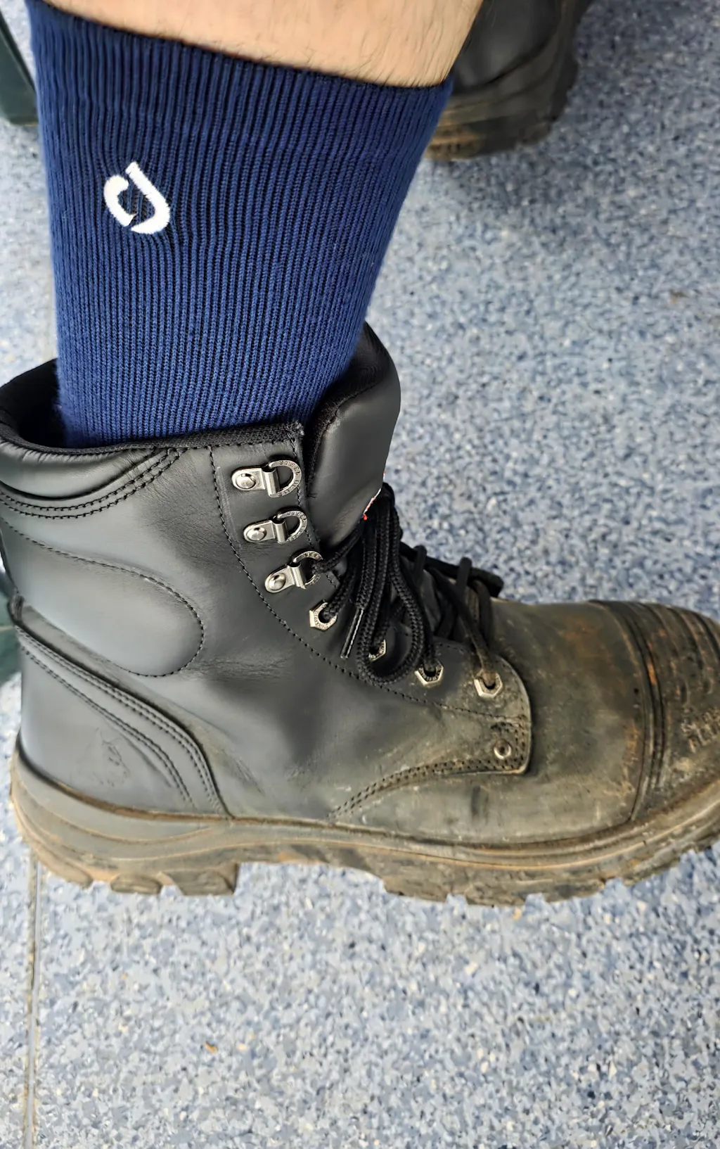 All-Round Daily Performance Crew Sock - Stone Grey