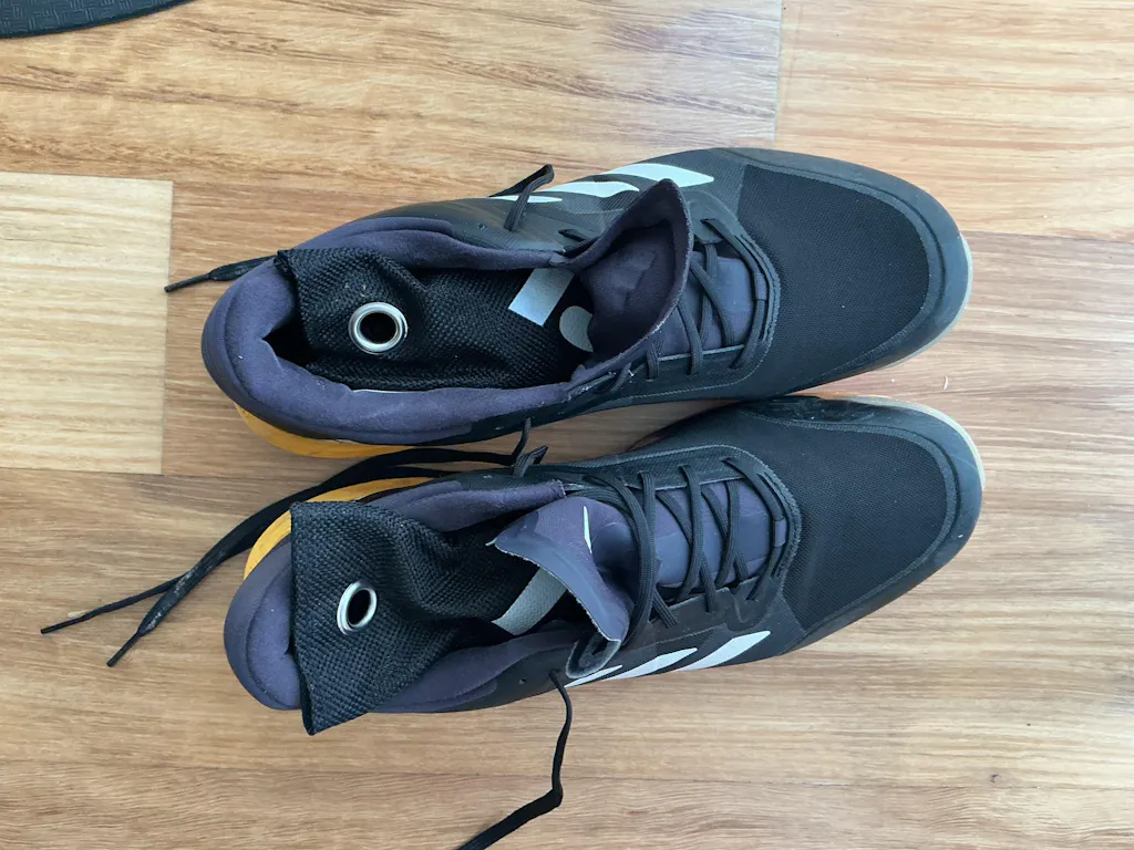 Charcoal Shoe Fresheners