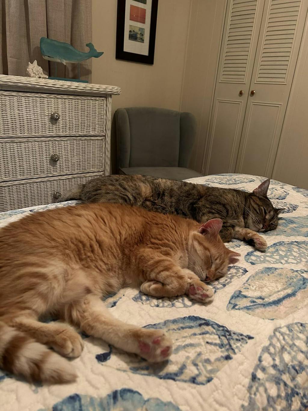 10 Inch Hybrid Full Mattress - DSARD