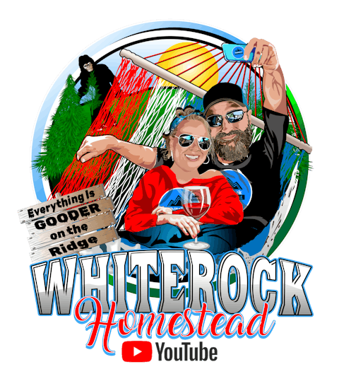 DTFSheet™ - Create Custom Gang Sheet Tool