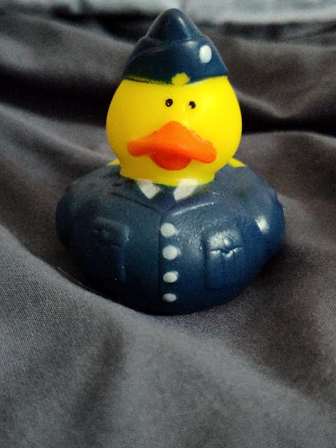 US Air Force Rubber Duck