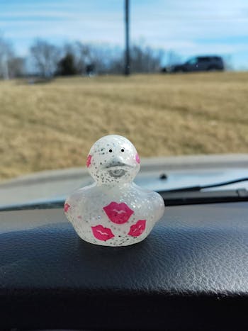 Duckling - FREE SHIPPING!