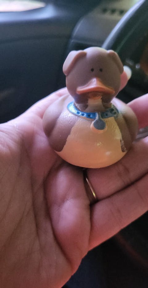 Puppy Barkly Rubber Duck