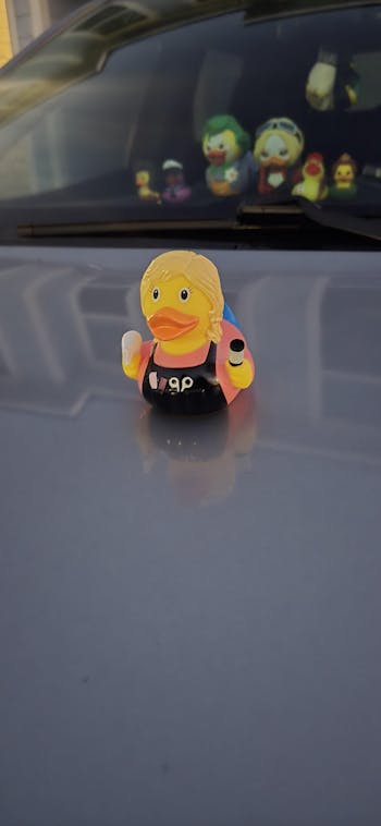 Hair Stylist Rubber Duck