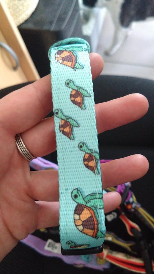 COLLAR PARA PERRO TURTLE