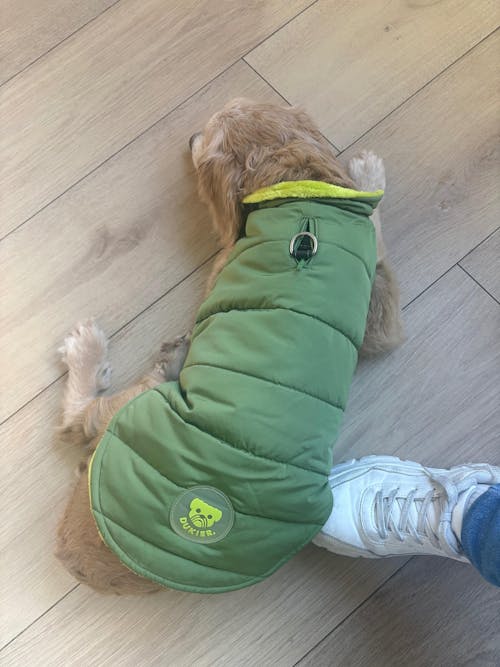 ABRIGO PARA PERRO GREEN