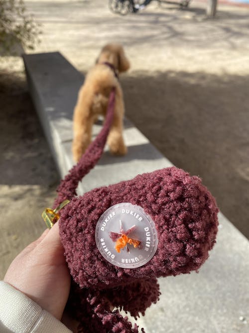 PORTA BOLSAS CACA TEDDY CHERRY