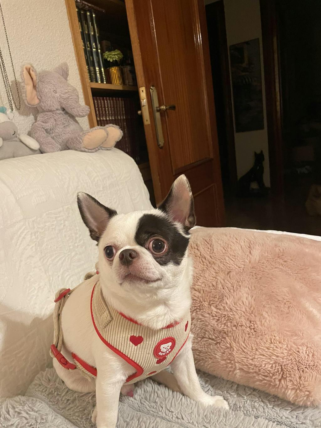 ARNÉS AJUSTABLE PARA PERRO LOVE