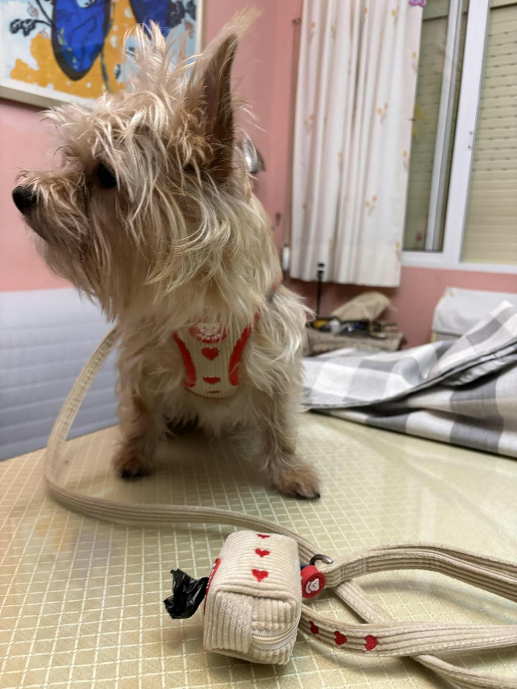 PORTA BOLSAS CACA LOVE