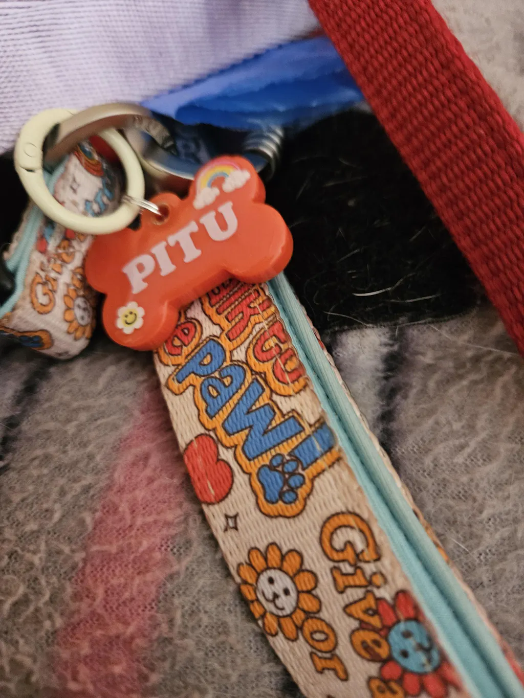 COLLAR PARA PERRO STICKERS