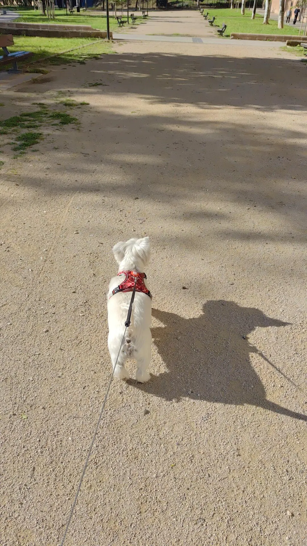 ARNES TRAIL PARA PERRO TARTÁN RED
