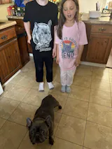 User picture