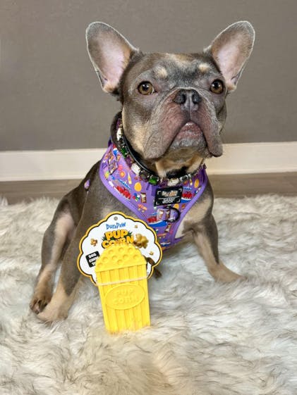 Barkchain Crypto Chew Coin – Tough Dog Chew Toy