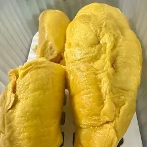 A9 Pahang Signature Black Gold (800g)