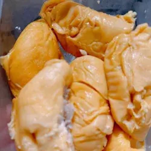 A9 Penang Old Tree MSW, Bukit Western (800g)