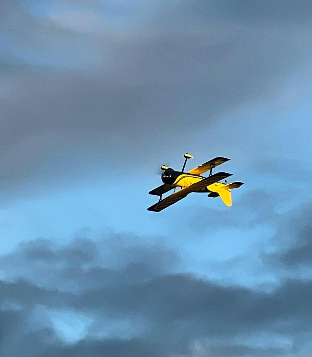 Dynam Pitts Python Yellow 4S RC Aerobatic 3D Sport Biplane