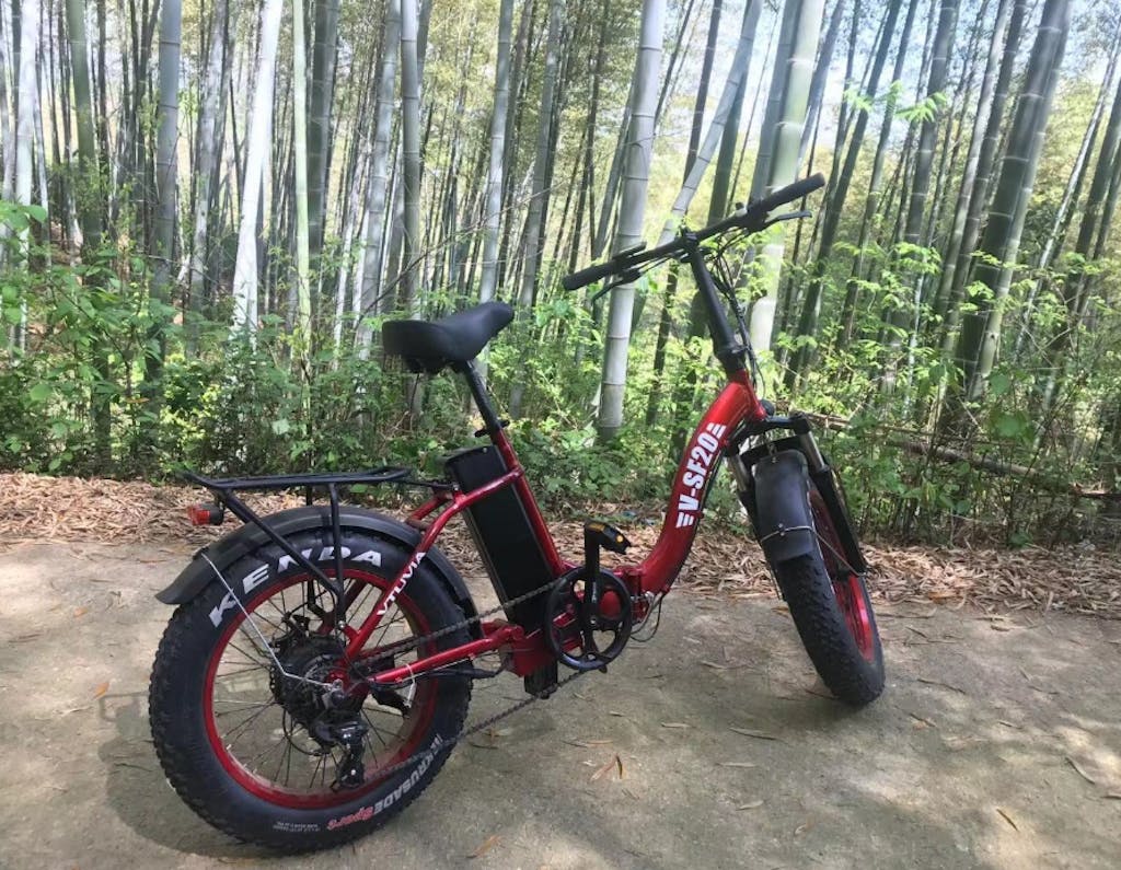 vtuvia folding electric bike