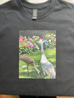 Review picture