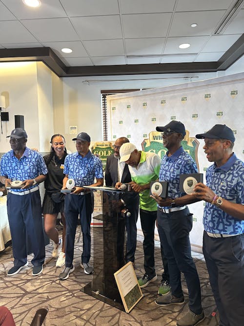 Shuffle Print Snap Placket Polo