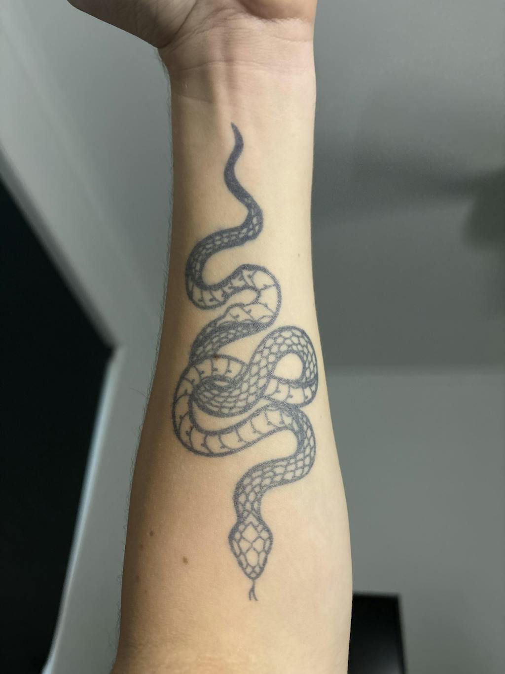 Serpent Semi-Permanent Tattoo | EasyTatt™