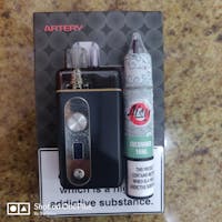 Artery PAL 3 Pod System Kit