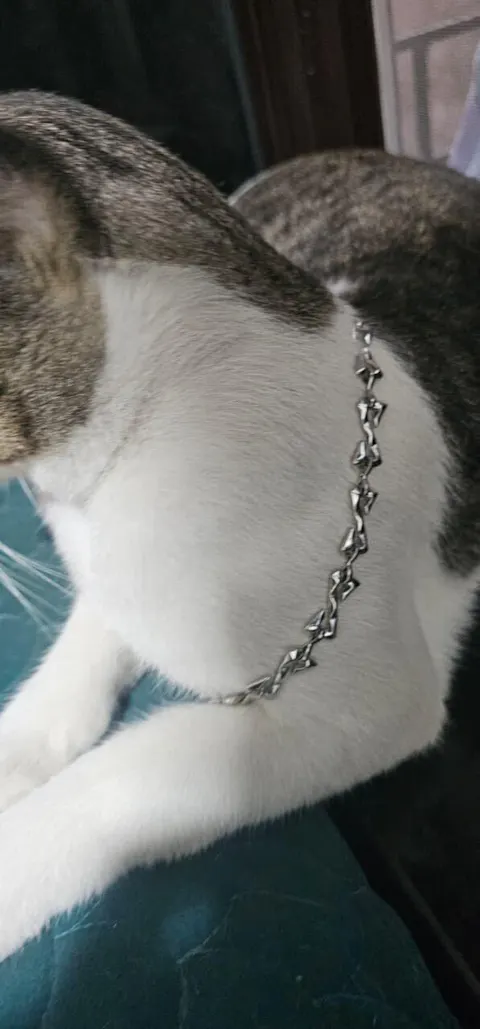 CIPHER NECKLACE