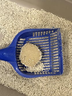 Pea Husk Cat Litter 48kg | 10 months 1 Cat