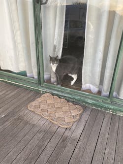 Enclosed Stainless Steel Cat Litter Box